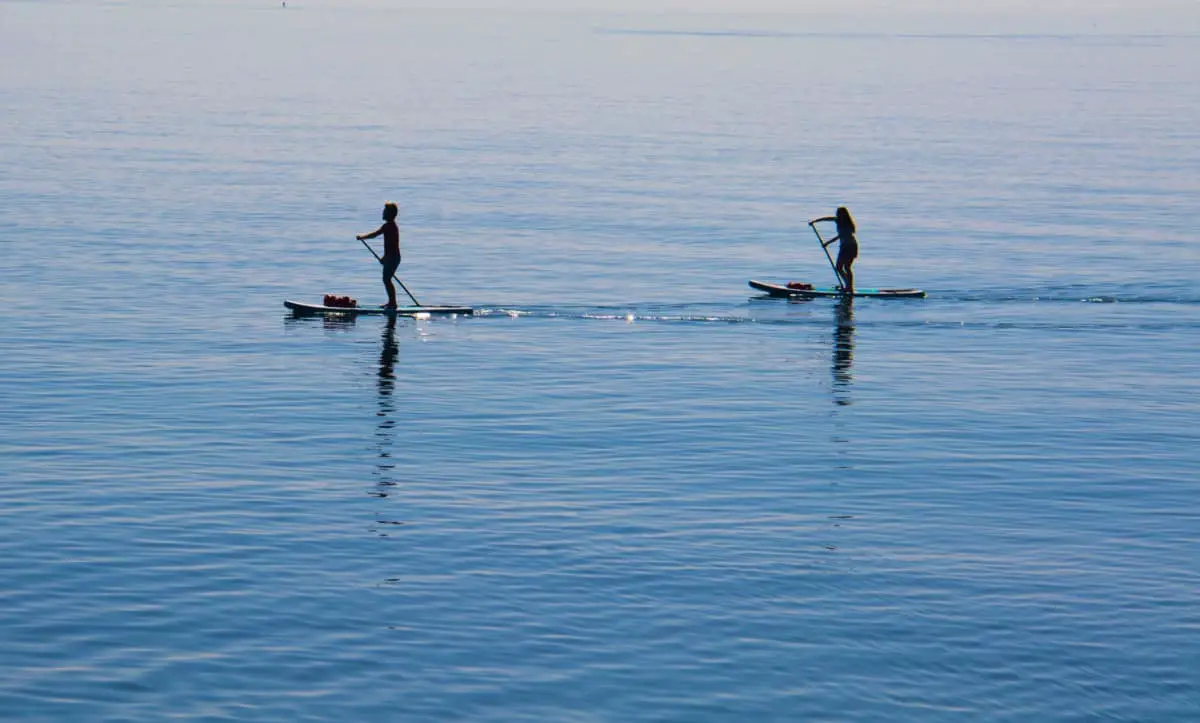 touring paddle board vs all-around paddle board